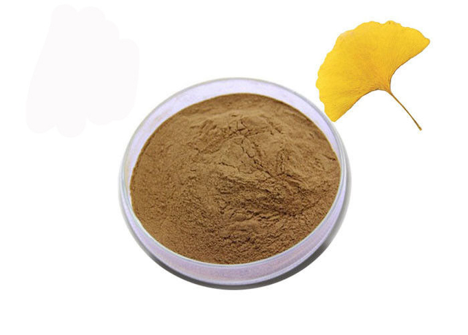 Dược phẩm Ginkgo Biloba Extract Powder cho chăm sóc sức khỏe 0