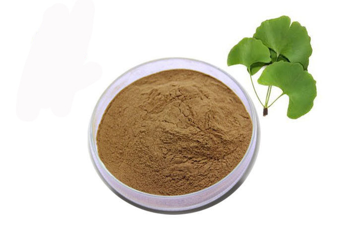 Thực phẩm cấp độ dinh dưỡng Brown Ginkgo Biloba Leaf Extract Powder 0