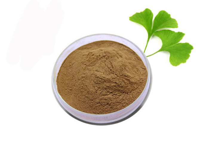 Lớp y tế chống oxy hóa tinh khiết Ginkgo Biloba Extract Powder 0