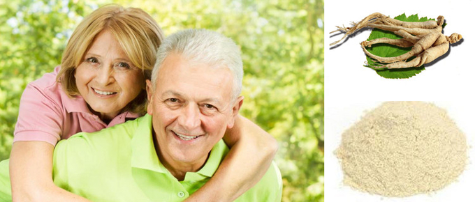 Chăm sóc sức khỏe cải thiện bột chiết xuất nhân sâm miễn dịch 0